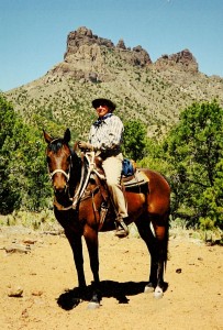 Dolan Springs Trail System - About Us
