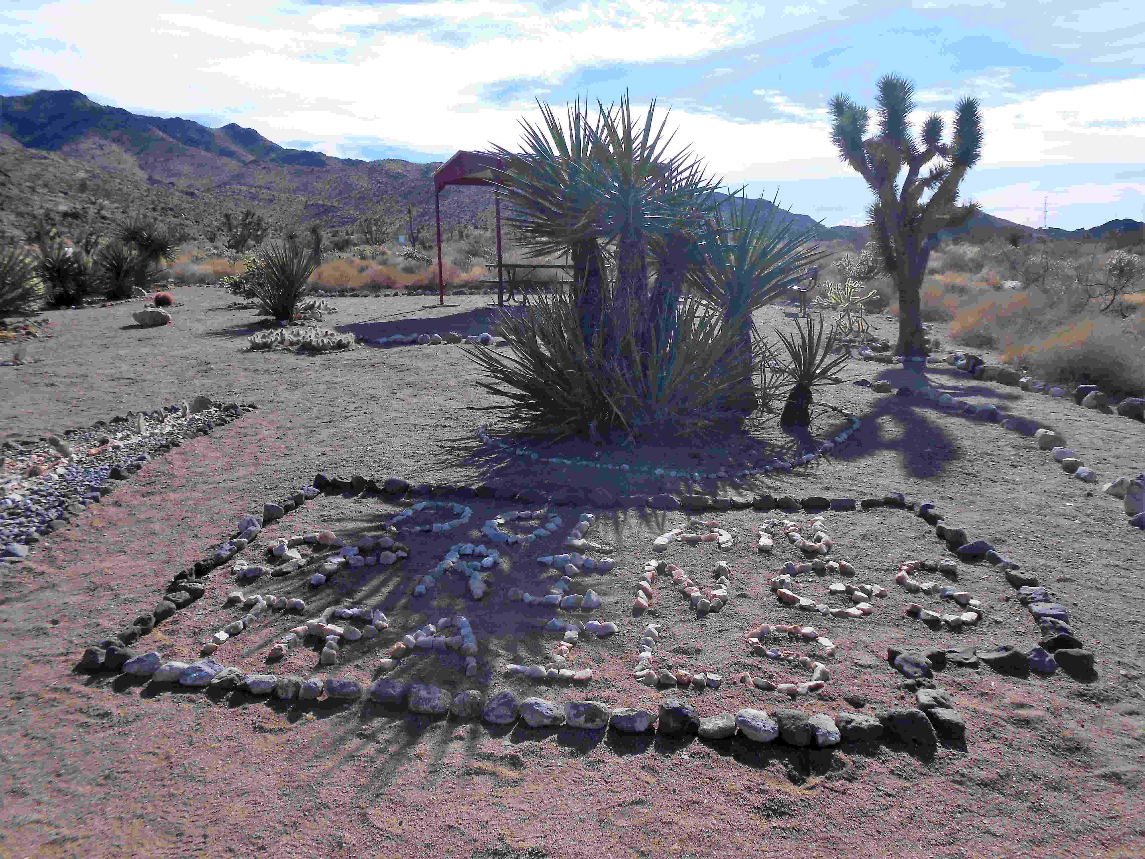 Dolan Springs Trail System Pictures